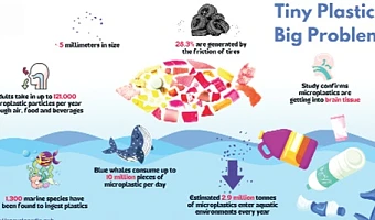 Diagram microplastics 