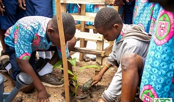 Some pupils of Achimota Anglican Basic School planting trees seedlings during the sensitisation campaign by the Forestry Commission.