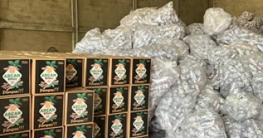 FDA shuts down unlicensed Arcan Bitters production facility in Ashanti Region